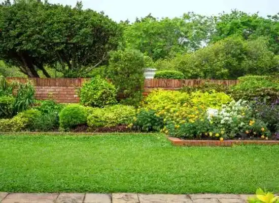 landscaping services Avon-by-the-Sea